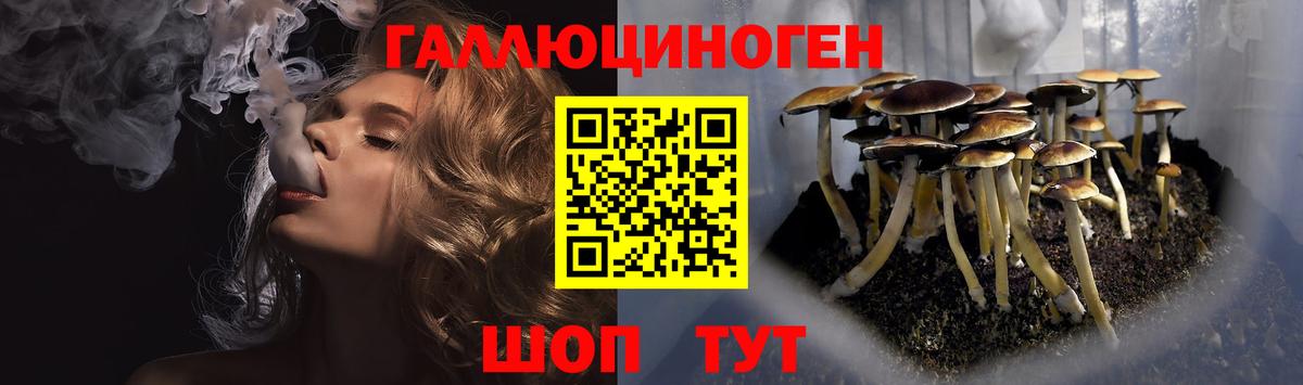 Псилоцибиновые грибы Psilocybe  Галлюциногенные грибы GOLDEN TEACHER  Вход с VPN  Муром 