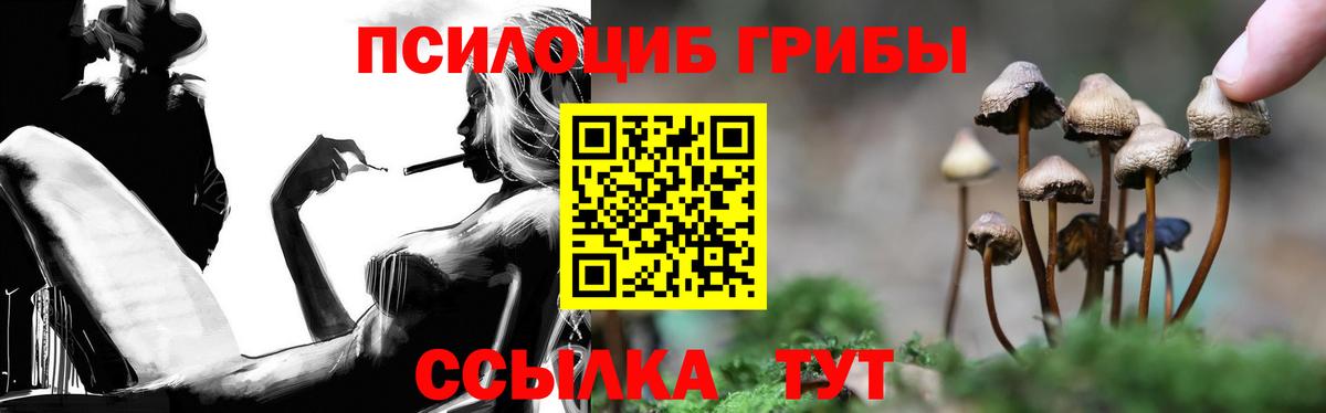 Бошки Шишки Муром