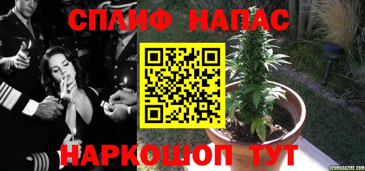Бошки Шишки ГИДРОПОН Муром